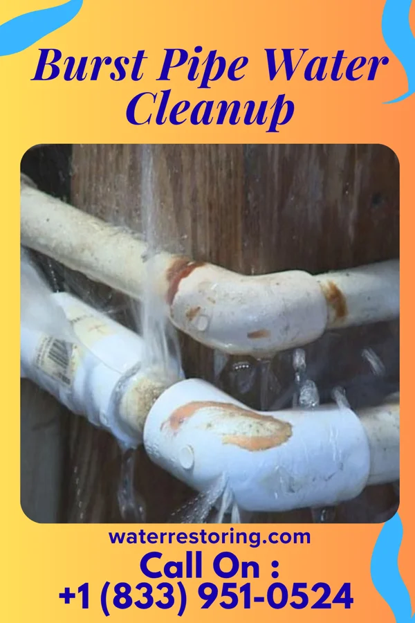 Burst Pipe Water Cleanup in Independence, OH