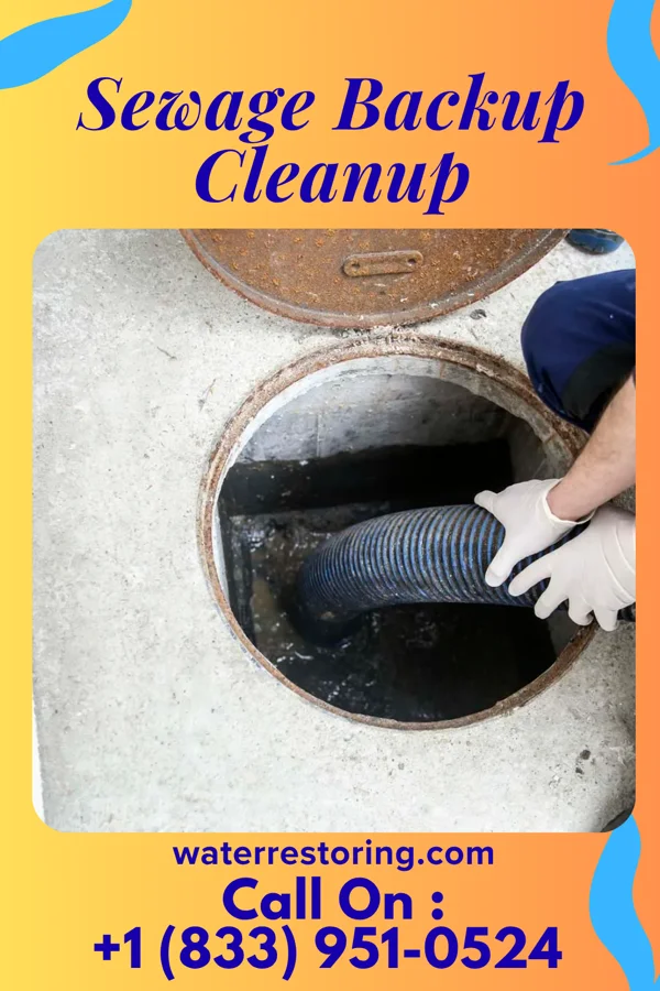Sewage Backup Cleanup in Independence, OH