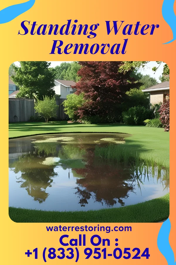 Standing Water Removal in Independence, OH